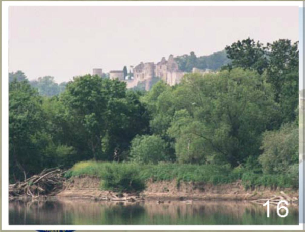 שינון Domaine Du Heron מראה חיצוני תמונה